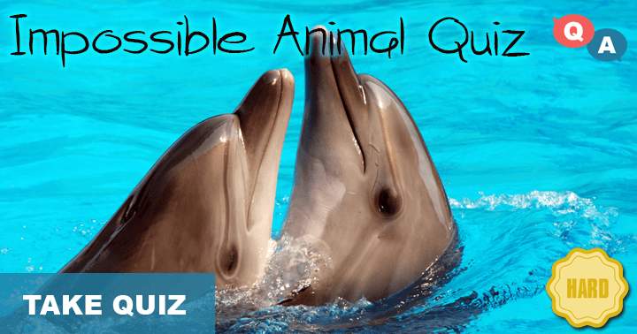 Can you score a 5/10 or better on this very hard animal quiz?