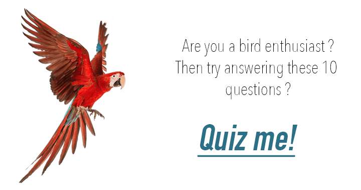 10 questions about birds only a real Birder can answer.