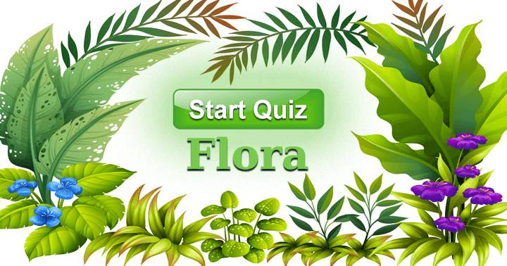 Everybody loves the beauty of plants, but what do you actually know about them? Take this test to find out.