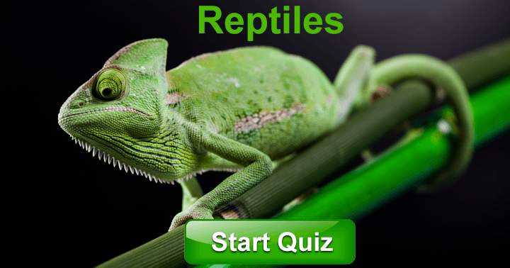 10 Questions about Reptiles! Most people can't answer more than 5 correctly