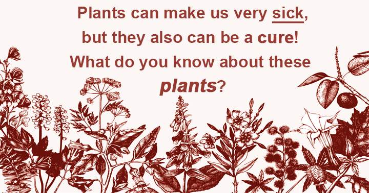 Plants can make us very sick, but they also can be a cure! What do you know about these plants?