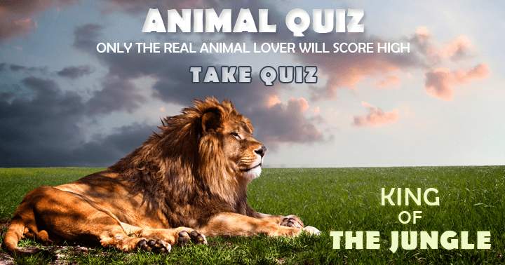 Animal Quiz. Only the real animal lover will score high.