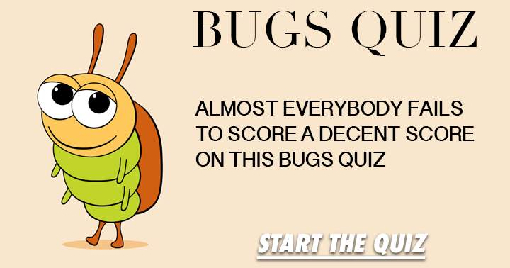 Bugs, how much do you know about them?